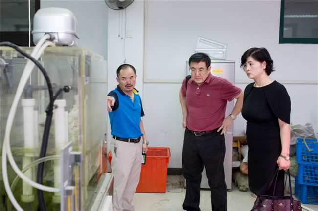 化學(xué)工業(yè)職業(yè)技能鑒定指導(dǎo)中心劉主任蒞臨錦鵬做指導(dǎo)工作(圖29)