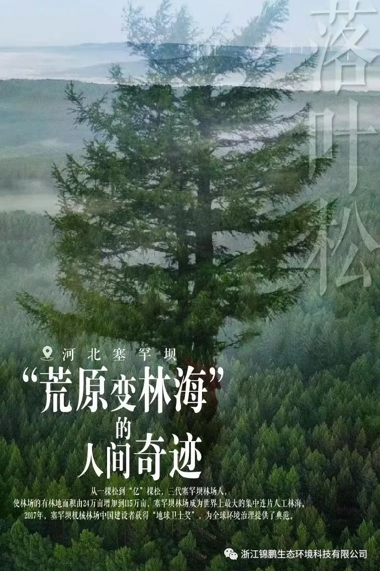 這片綠，“植”抵人心！(圖1)