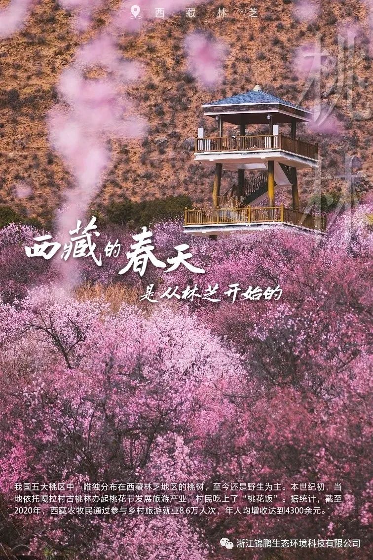 這片綠，“植”抵人心！(圖3)