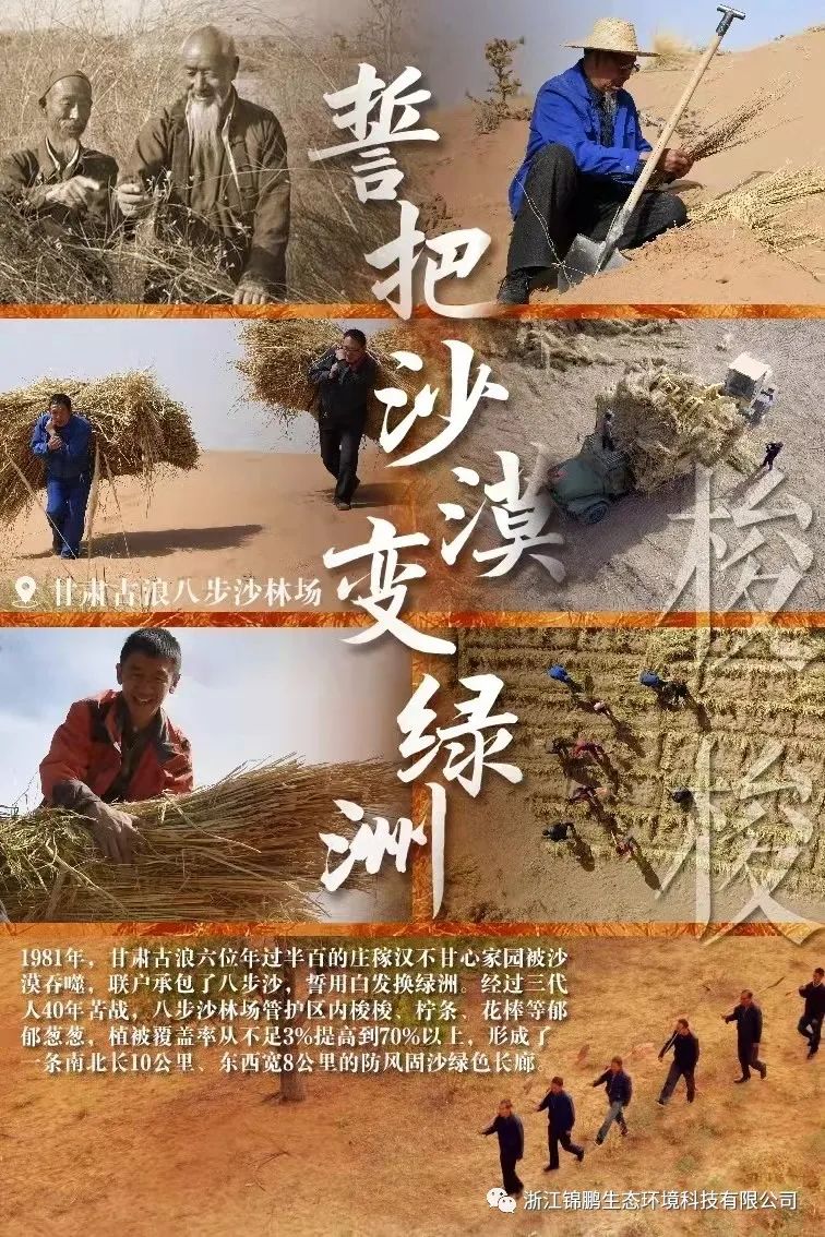 這片綠，“植”抵人心！(圖7)