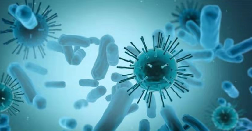 生物法處理VOCs的適用范圍及注意事項(圖1) 生物法處理VOCs的適用范圍及注意事項(圖1)