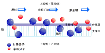 膜分離工藝 VOCs 回收與達標治理工程實例(圖3)