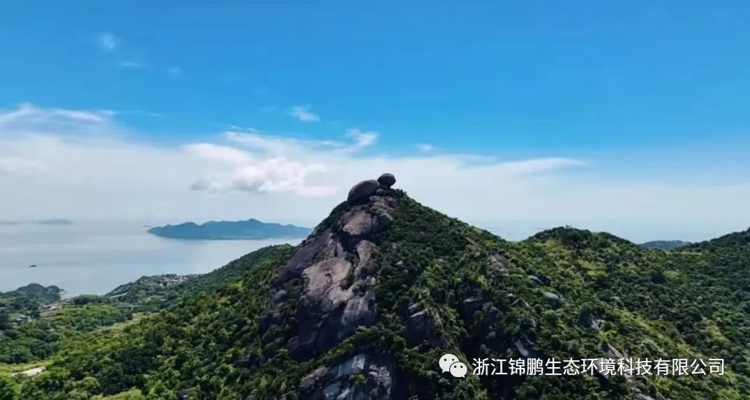 錦鵬環(huán)保團建活動--“保護生態(tài)環(huán)境 倡導(dǎo)文明新風(fēng)”(圖5)