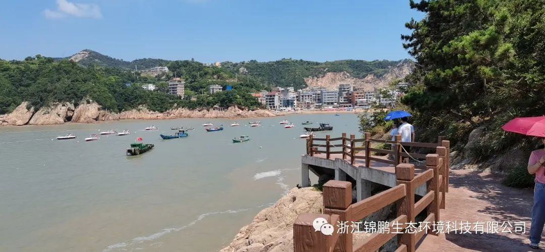 錦鵬環(huán)保團建活動--“保護生態(tài)環(huán)境 倡導(dǎo)文明新風(fēng)”(圖6)