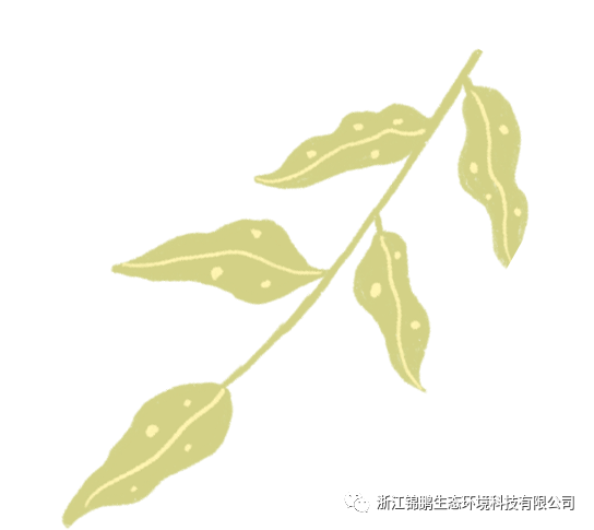 錦鵬環(huán)保團建活動--“保護生態(tài)環(huán)境 倡導(dǎo)文明新風(fēng)”(圖3)