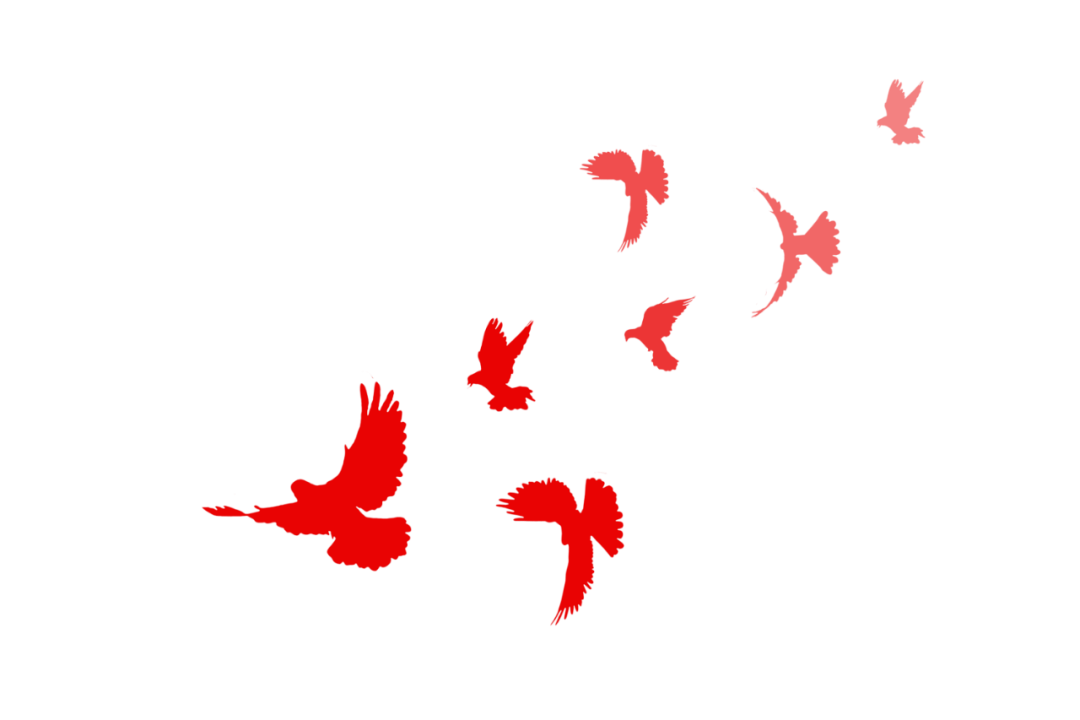 學(xué)習(xí)時(shí)間｜錦鵬開(kāi)展學(xué)習(xí)《習(xí)近平關(guān)于社會(huì)主義精神文明建設(shè)論述摘編》一書(shū)(圖10)