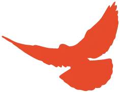 放假通知 | 喜迎國慶 盛世華誕(圖1) 放假通知 | 喜迎國慶 盛世華誕(圖1)