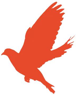 放假通知 | 喜迎國慶 盛世華誕(圖2) 放假通知 | 喜迎國慶 盛世華誕(圖2)