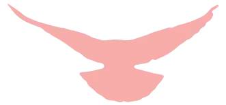 放假通知 | 喜迎國慶 盛世華誕(圖3) 放假通知 | 喜迎國慶 盛世華誕(圖3)