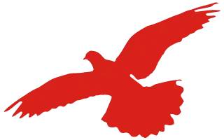 放假通知 | 喜迎國慶 盛世華誕(圖4) 放假通知 | 喜迎國慶 盛世華誕(圖4)